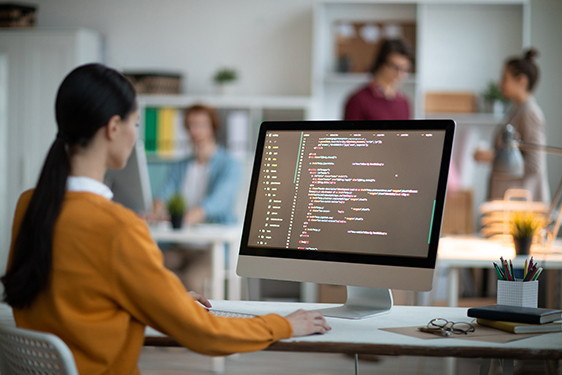 Webdevelopment 1 Webentwicklung