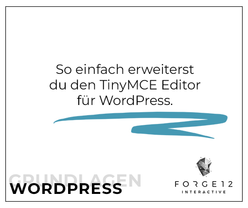 WordPress Webentwicklung TinyMCE Editor erweitern