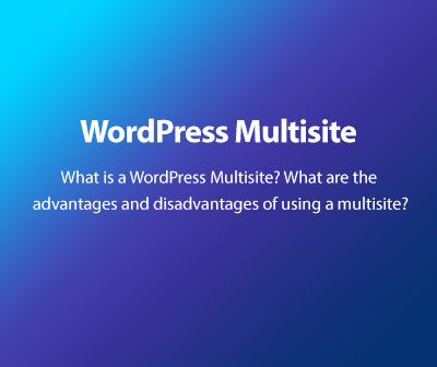 What is a WordPress Multisite?